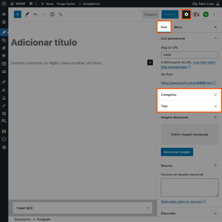 printscreen de edição de categorias e tags do post