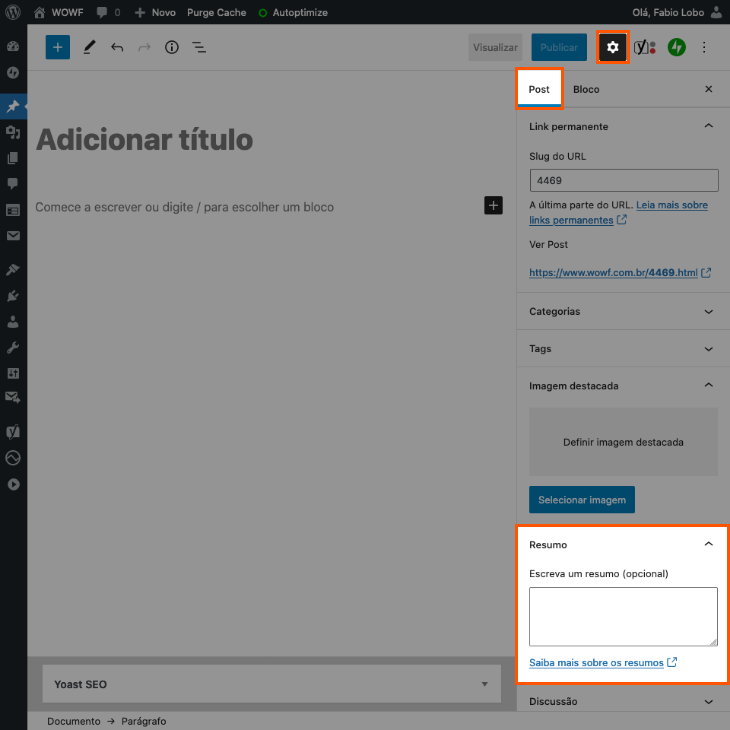 printscreen de edição do resumo do post