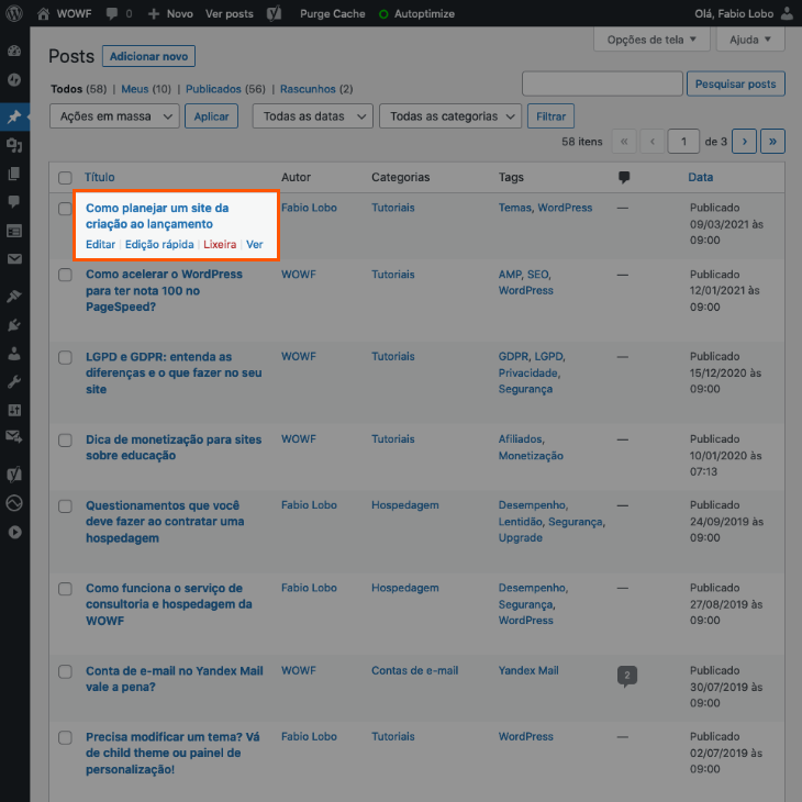printscreen de opções de edição no painel de posts do WordPress