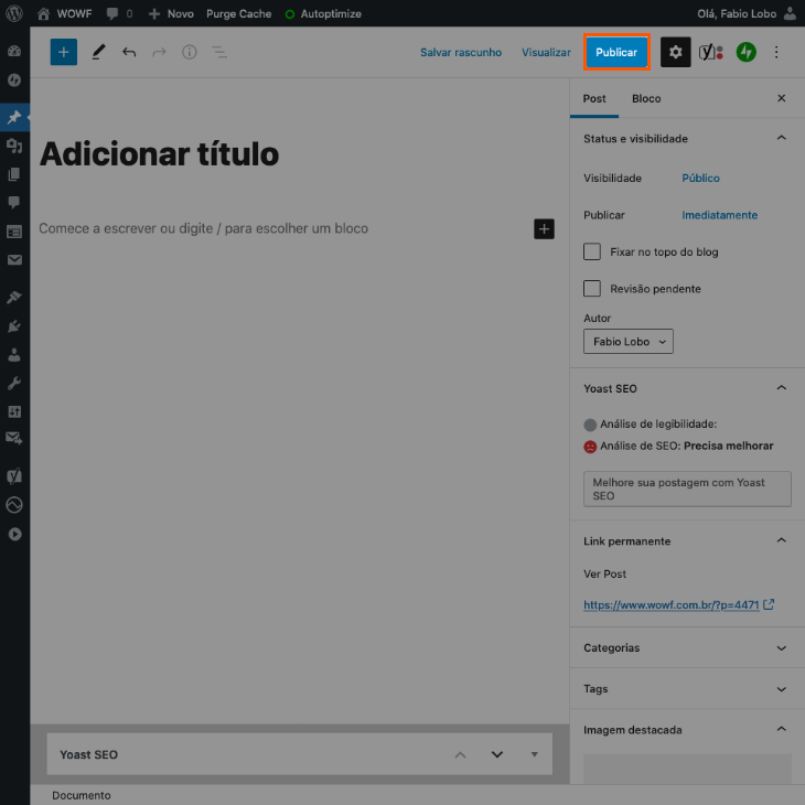 printscreen de publicar no WordPress