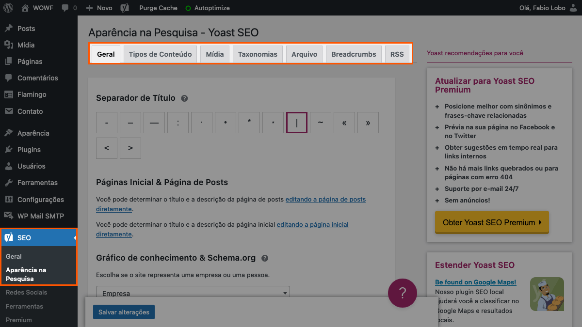 printscreen de opções do plugin