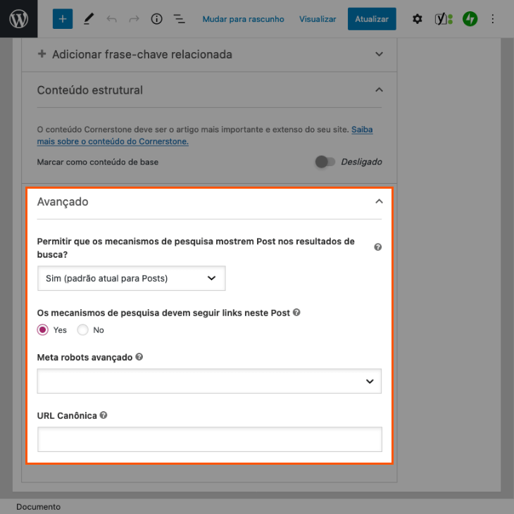 printscreen de opções avançadas de conteúdo