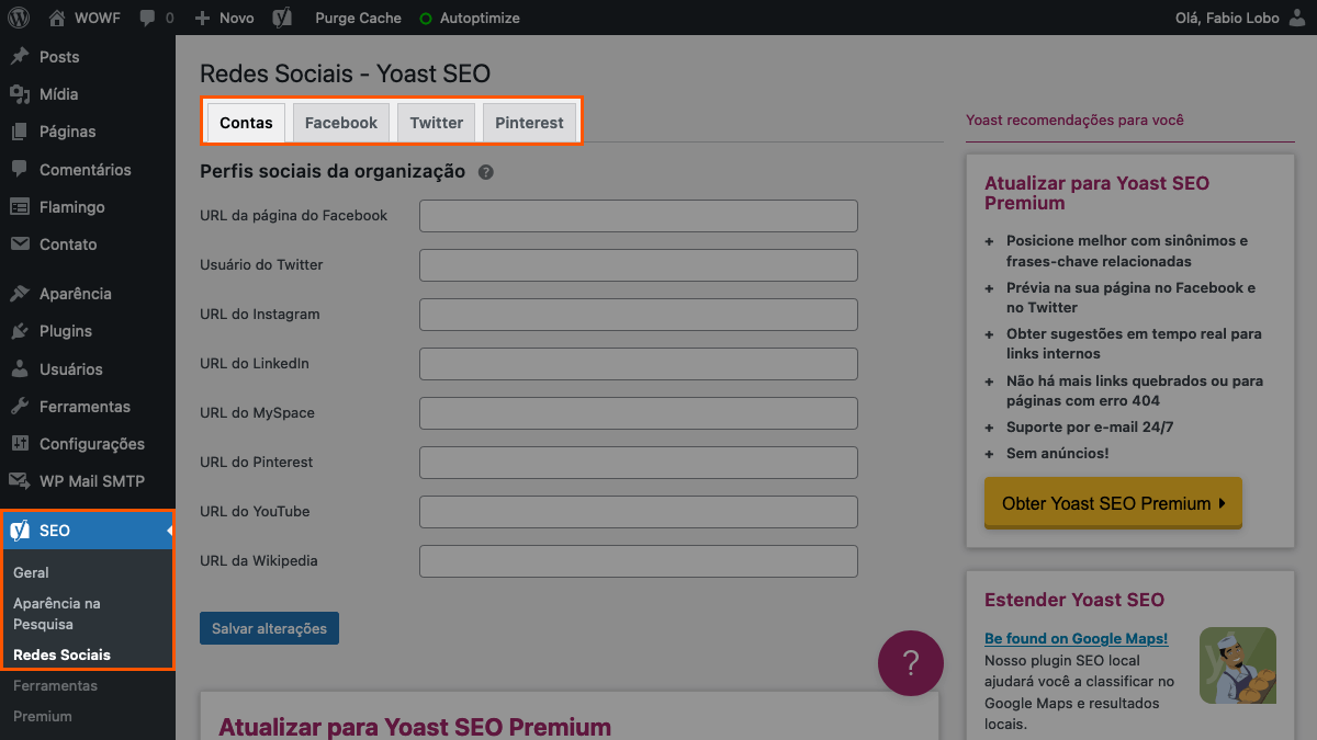 printscreen de opções do plugin