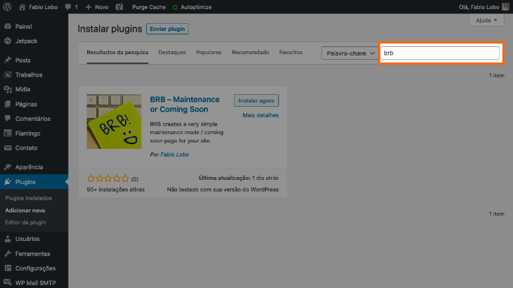 printscreen de busca de plugins no WordPress