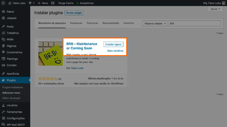 printscreen de instalação de plugin no WordPress