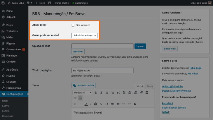 printscreen de painel do plugin BRB