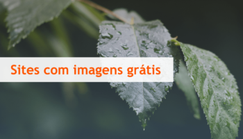 Bancos de imagens: Sites com fotos grátis em alta resolução
