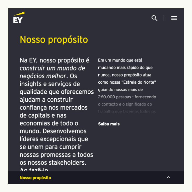 printscreen de apresentação da empresa
