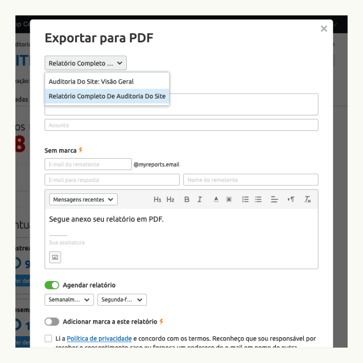 printscreen da tela de exportação de relatório de auditoria do site em pdf
